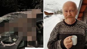 В Норвегии лось влетел в салон автомобиля