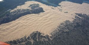 Песчаные дюны в тайге — уникальная геологическая странность