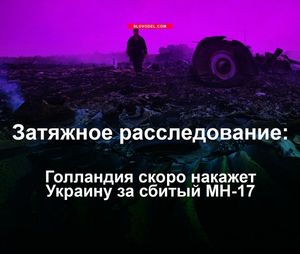 Затяжное расследование: голландия скоро накажет украину за сбитый mh-17