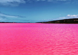 Розовое озеро России: почему такого цвета и можно ли в нем плавать