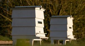Rolls-Royce открыл вакансию пчеловода, но платить за эту работу не будет