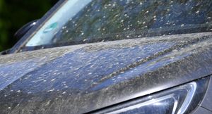 Почему летом автомобиль нужно мыть чаще, чем зимой?