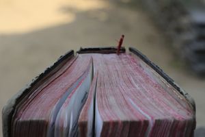 Интересные факты о Красной Книге