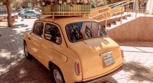 В Крыму нашли обновленный ЗАЗ-965А с цветочной клумбой