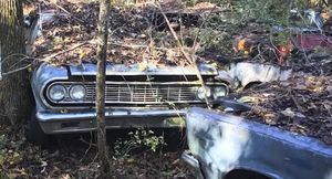 В американском лесу обнаружено огромное автомобильное кладбище