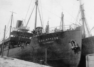 Как британские авиаторы отомстили немецкому крейсеру за гибель советского ледокола.