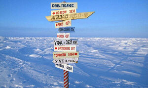 Интересные факты о Северном полюсе