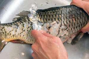 «Чешуя отпадает сама!»: Моментально очищаем любую рыбу от чешуи голыми руками (без чистилки и ножа)