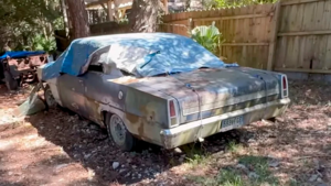 Редкая находка: отец и дочь открыли забытый Chevrolet Nova 1967 года