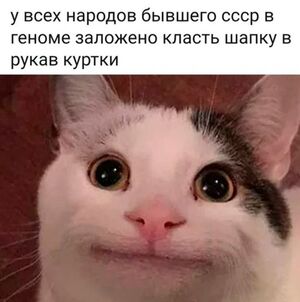 Хотите начать день с отличного настроения?