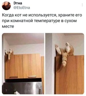 Привет! Как насчет порции отличного настроения прямо с утра?