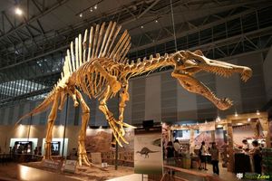 А вы знали, что кости динозавров — это не кости?