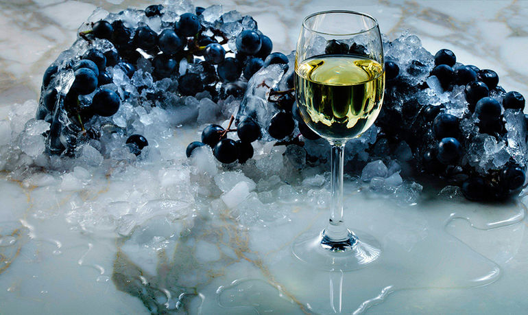 Кризис ледяных вин: почему немецкие виноделы не рады мягкой зиме и потеплению 