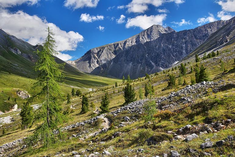 Межгорные Долины Алтая и Саян