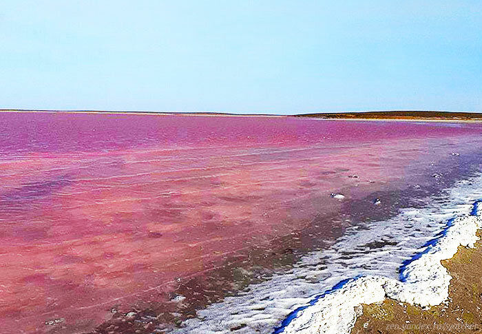 Водоем который окрашивается в нежно розовый цвет. Меклетинское розовое озеро Калмыкия. Озеро Колтан-Нур Калмыкия. Розовое озеро Адык Элиста. Маклетинское озеро Калмыкия.