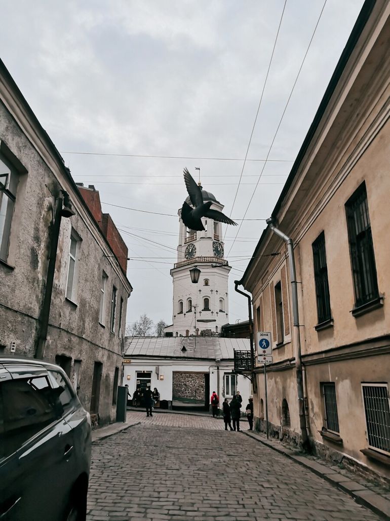 И поругались финны, шведы, и русские. Выборг объединил всех и остался в России 