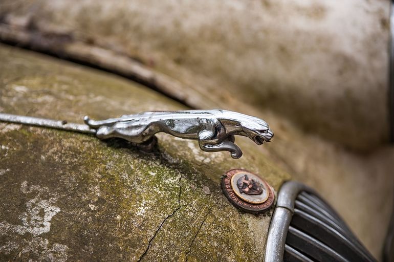 Интересные факты о британском автомобильном бренде Jaguar 
