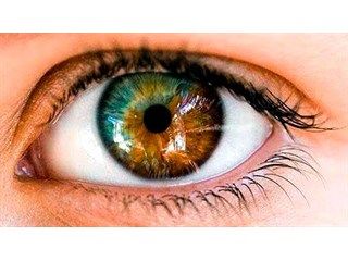 Глаза Разных Цветов Фото
