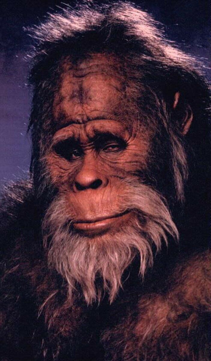 Настоящий Хозяин Тайги – это не медведь, две истории о том, как Хозяин может спасти, а может наказать 