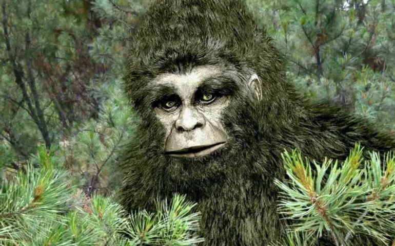 Настоящий Хозяин Тайги – это не медведь, две истории о том, как Хозяин может спасти, а может наказать 