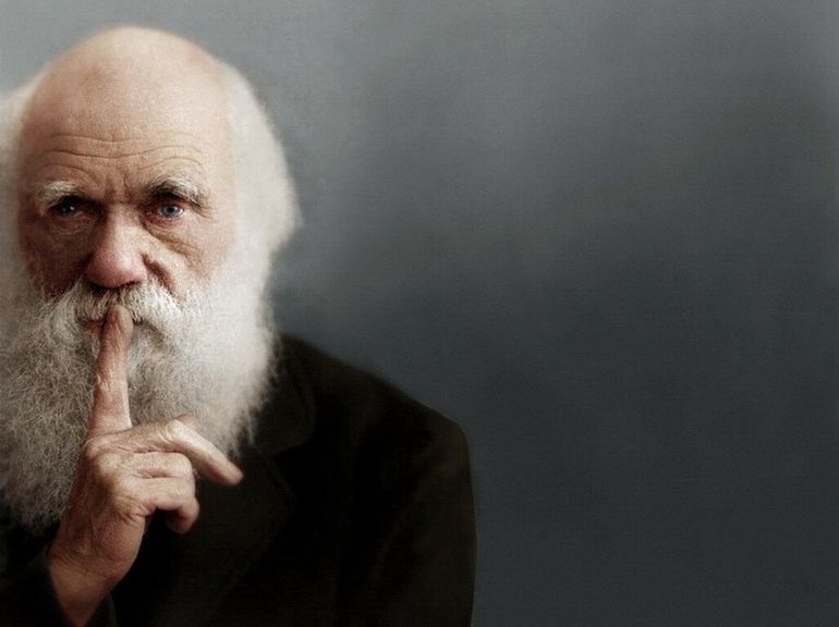 Налоговая вызвала таксопарк на ковер. Реальная история, которая будет повторяться снова и снова будет, налоги, только, налоговая, время, налоговой, через, налогов, парка, которые, история, рублей, Поэтому, водителей, расчётный, тысяч, работы, таксопарк, случае, водителям