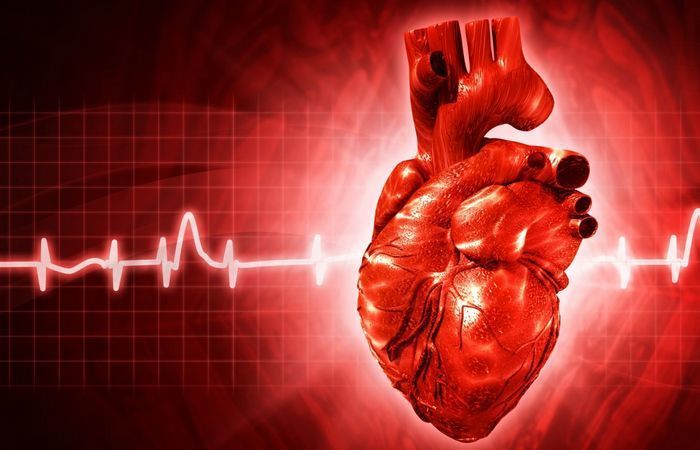 10 малоизвестных фактов о человеческом сердце для всех, кто заботится о своём здоровье 