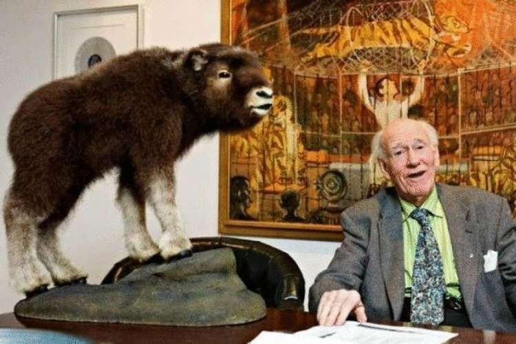 Этот дедушка в шапочке — самый настоящий норвежский миллиардер из списка Forbes Этот дедушка в шапочке — самый настоящий норвежский миллиардер из списка Forbes