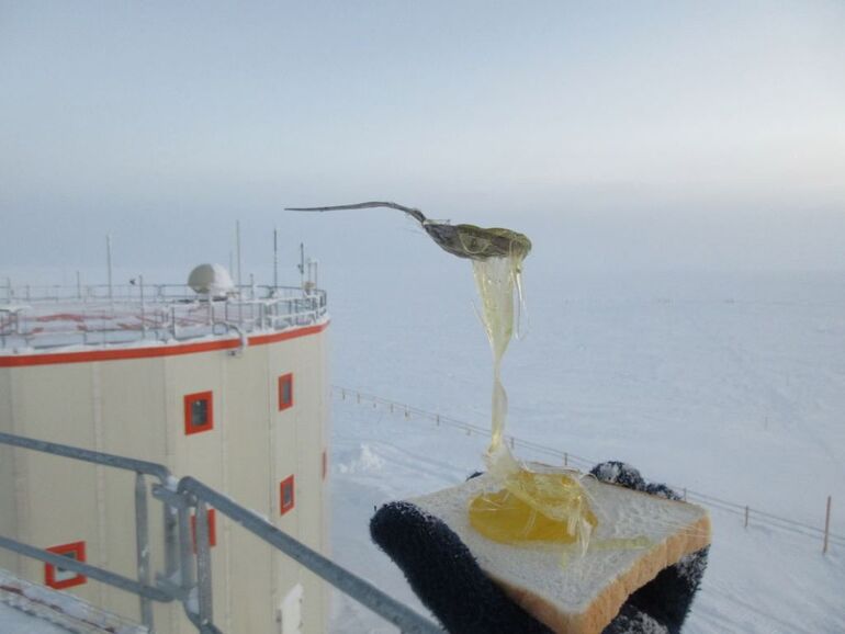 Что будет с едой в Антарктиде 