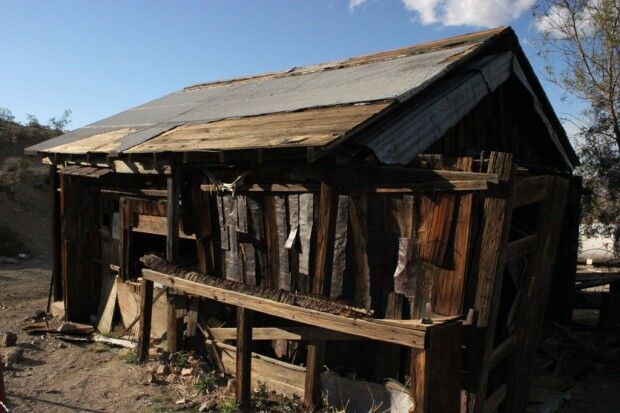 Человек-крот: мужчина провёл 32 года, копая пустыню 