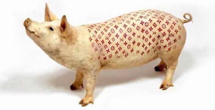 Салон татуировок для свиней 