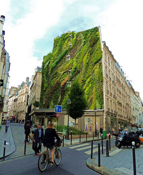 “Живой бетон”, который способен удалить больше CO2, чем тысячи деревьев 