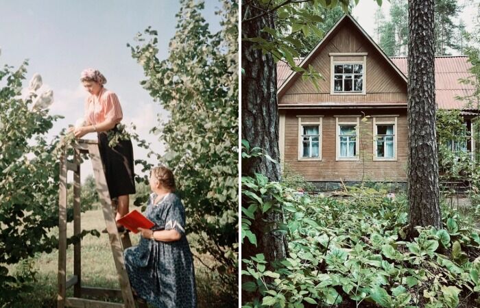 Моя дача: Персональные записи в журнале Ярмарки Мастеров