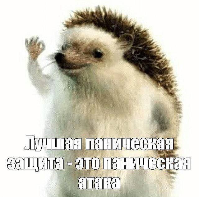 Мемы про новую породу курочек, дедушку на фотосессии, машину с кондиционером, весну и многое другое (28 фото) Новый, рабочую, многое, защиту, паническую, лучшую, собаки, мячик, лучший, юриста, кошку, неделю, Маргариту, сборник, мастера, выпуске, настроенияСегодня, отличного, вашего, любую