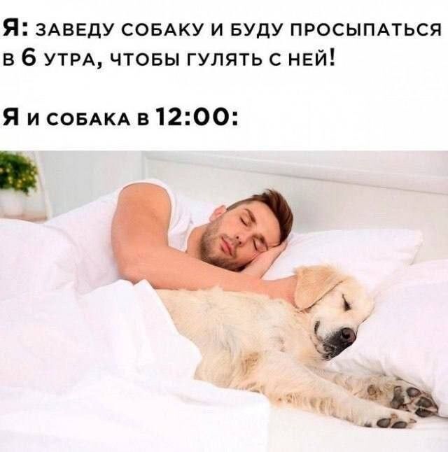 Мемы про новую породу курочек, дедушку на фотосессии, машину с кондиционером, весну и многое другое (28 фото) Новый, рабочую, многое, защиту, паническую, лучшую, собаки, мячик, лучший, юриста, кошку, неделю, Маргариту, сборник, мастера, выпуске, настроенияСегодня, отличного, вашего, любую
