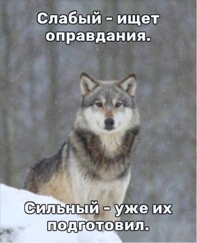 Мемы про новую породу курочек, дедушку на фотосессии, машину с кондиционером, весну и многое другое (28 фото) Новый, рабочую, многое, защиту, паническую, лучшую, собаки, мячик, лучший, юриста, кошку, неделю, Маргариту, сборник, мастера, выпуске, настроенияСегодня, отличного, вашего, любую