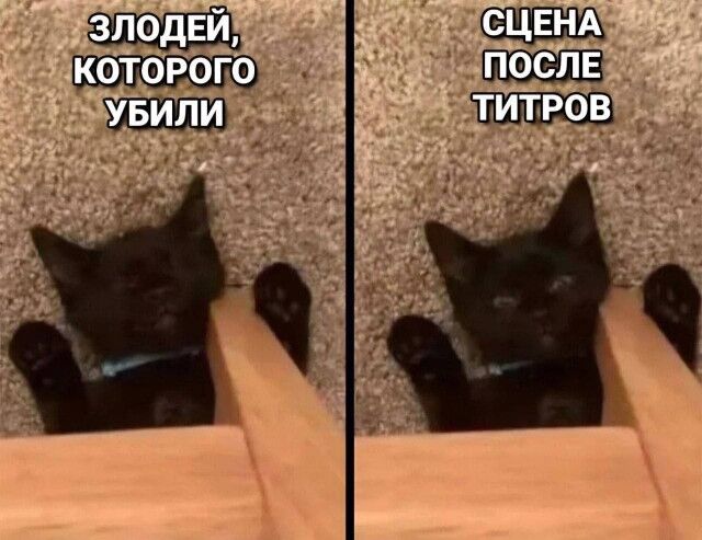 Мемы про новую породу курочек, дедушку на фотосессии, машину с кондиционером, весну и многое другое (28 фото) Новый, рабочую, многое, защиту, паническую, лучшую, собаки, мячик, лучший, юриста, кошку, неделю, Маргариту, сборник, мастера, выпуске, настроенияСегодня, отличного, вашего, любую