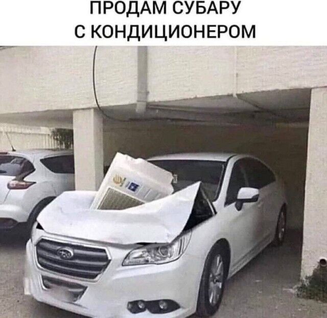 Мемы про новую породу курочек, дедушку на фотосессии, машину с кондиционером, весну и многое другое (28 фото) Новый, рабочую, многое, защиту, паническую, лучшую, собаки, мячик, лучший, юриста, кошку, неделю, Маргариту, сборник, мастера, выпуске, настроенияСегодня, отличного, вашего, любую
