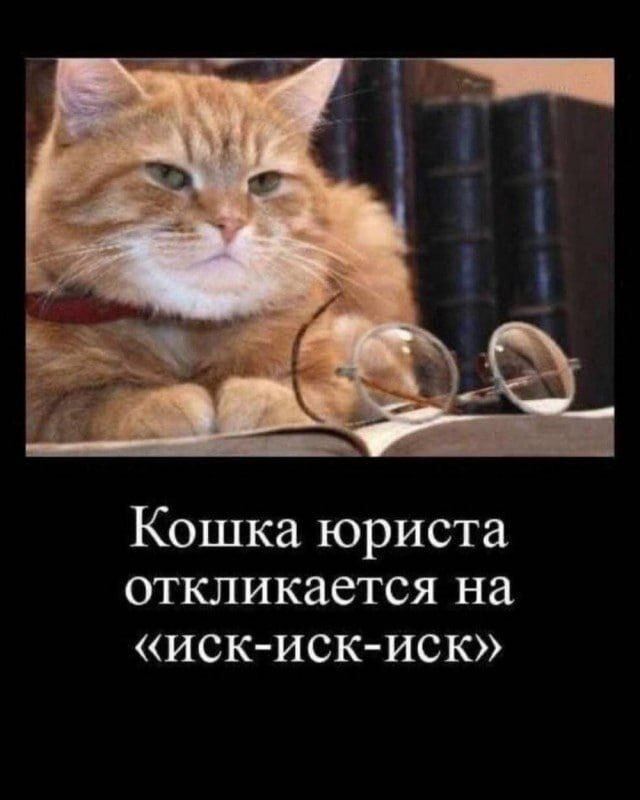 Мемы про новую породу курочек, дедушку на фотосессии, машину с кондиционером, весну и многое другое (28 фото) Новый, рабочую, многое, защиту, паническую, лучшую, собаки, мячик, лучший, юриста, кошку, неделю, Маргариту, сборник, мастера, выпуске, настроенияСегодня, отличного, вашего, любую