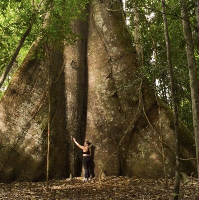 Невероятная флора и фауна Амазонки (18 фото)