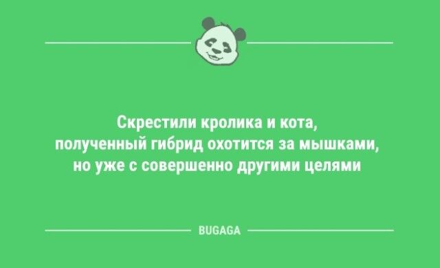 Шутки дня: "Что это у вас тут за работа такая…" (9 фото)