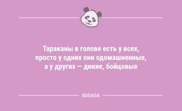 Анекдоты с шутками на любой вкус: «Когда розетка говорит с человеком…»  