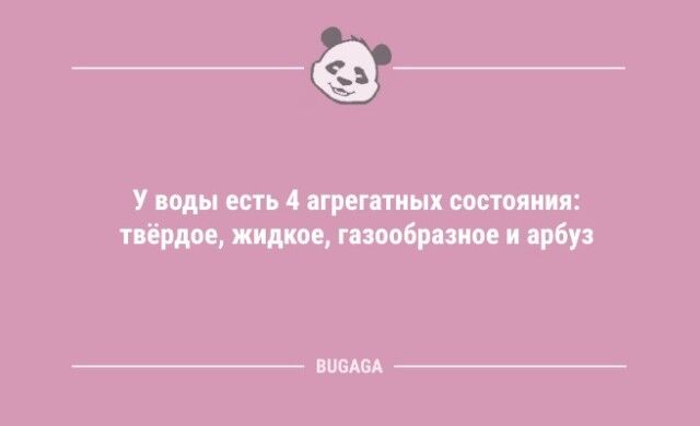 Анекдоты с шутками на любой вкус: «Когда розетка говорит с человеком…»  