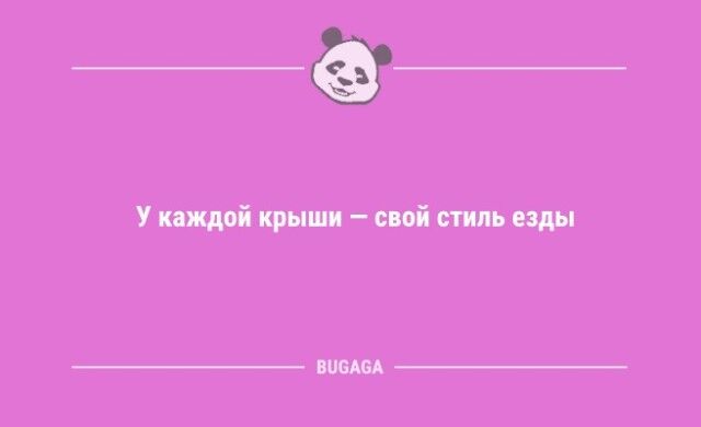 Анекдоты дня: «При дрессировке кошки главное — сделать вид…»  