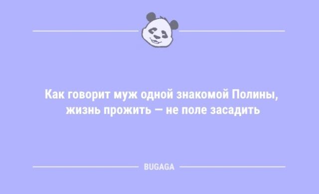 Анекдоты дня: «При дрессировке кошки главное — сделать вид…» (9 фото)