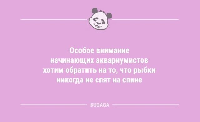 Анекдотов пост: «Завоевание женщины — плёвое дело…» (9 фото)