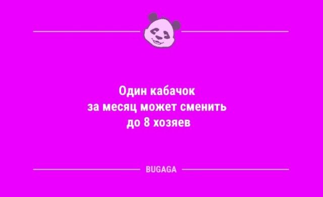 Смешные анекдоты в конце недели: «Меня постоянно преследуют умные мысли…» (10 фото)