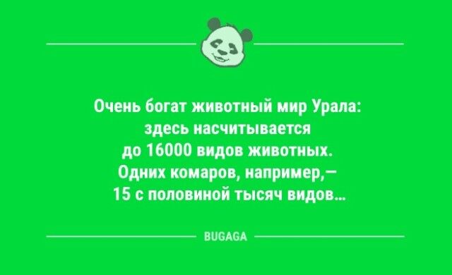 Шутки юмора в середине недели: «Ничто так не повышает квалификацию водителя,...»  