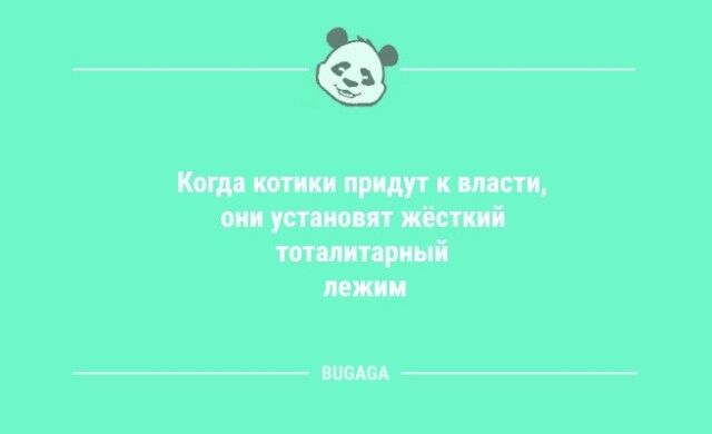 Анекдоты посмеяться: «Когда котики придут к власти…» (9 фото)