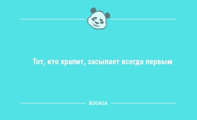 Анекдоты посмеяться: «Когда котики придут к власти…»  