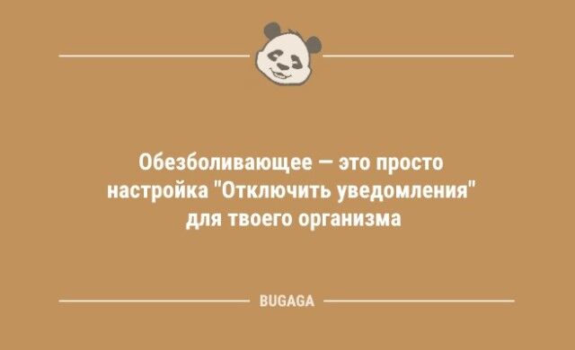 Анекдоты посмеяться: «Когда котики придут к власти…» (9 фото)